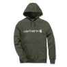 DELMONT GRAPHIC HOODED SWEATSHIRT